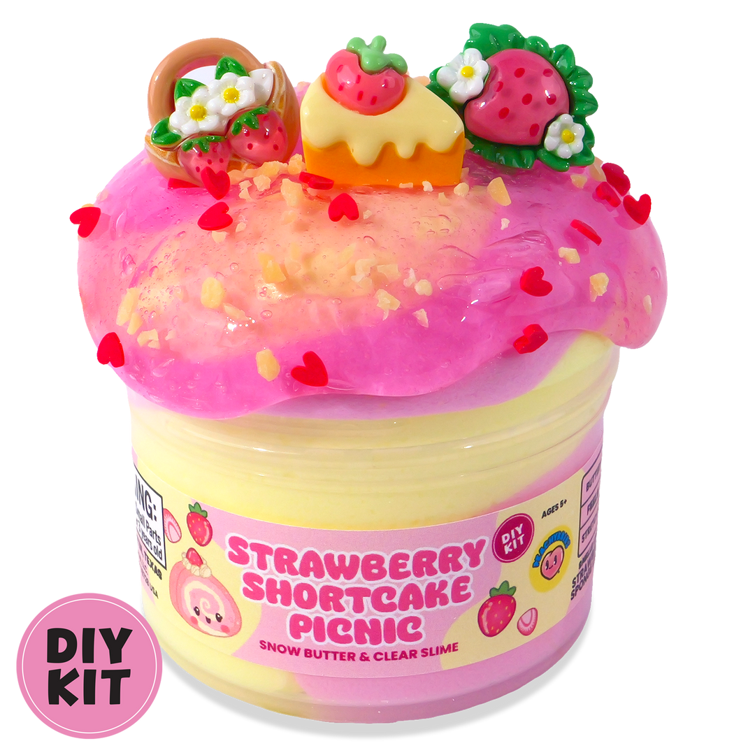 Strawberry Shortcake Picnic DIY Kit